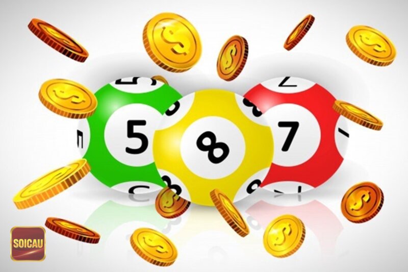 Kết quả xổ số miền trung thứ năm hàng tuần - kết quả xổ số miền trung thứ năm hàng tuần cần kiểm tra thông tin nào trước? Kết quả xổ số miền trung thứ năm hàng tuần - kết quả xổ số miền trung thứ năm hàng tuần cần kiểm tra thông tin nào trước?